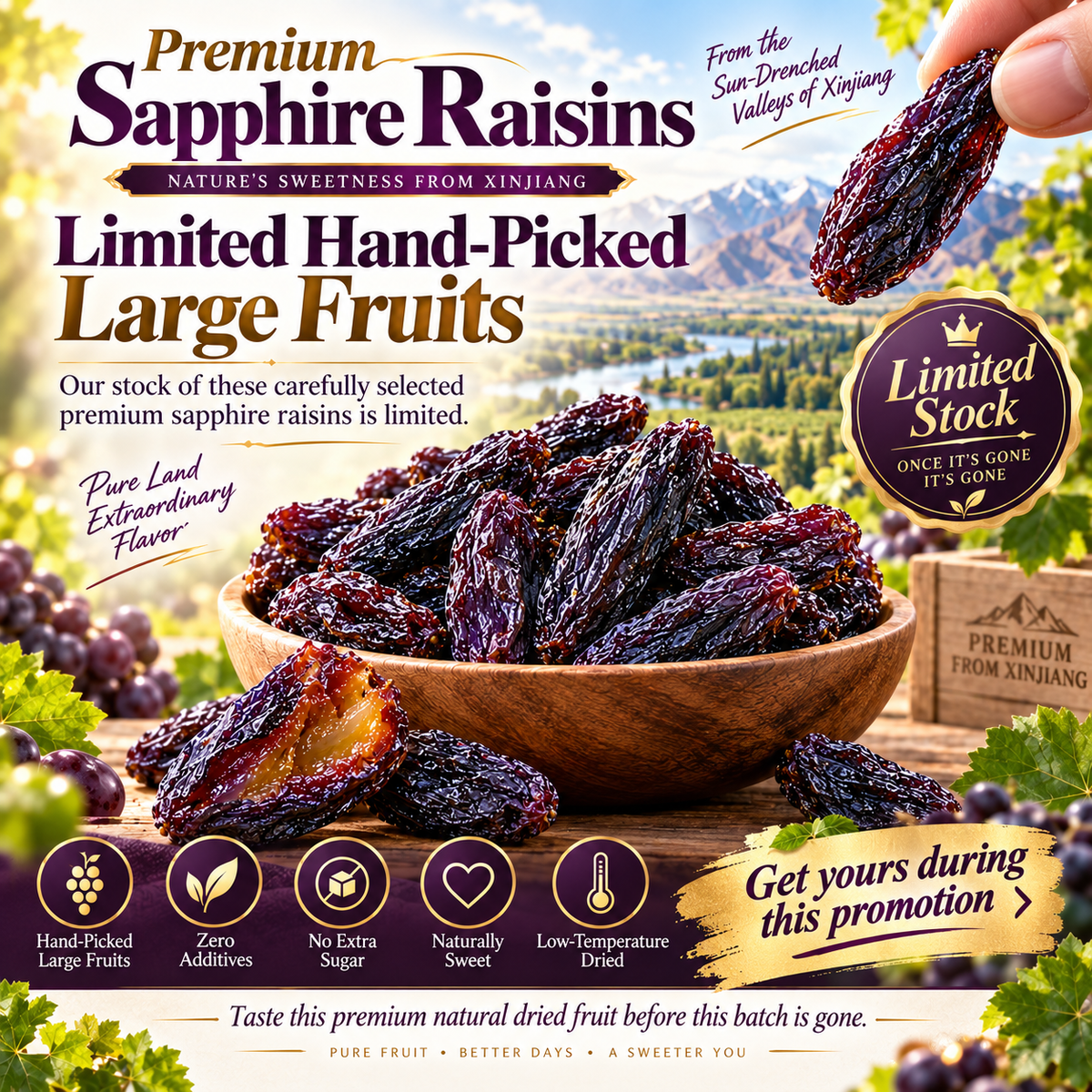 🍇Natural Sapphire Raisins: Guilt-Free Snack to Support Healthy Blood Sugar & Cholesterol-ZRT
