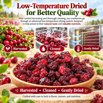 Premium Dried Cranberries-Real Cranberries Nothing Unnecessary.-NEX