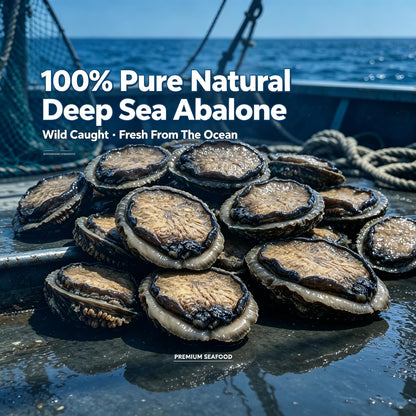 Ready-To-Eat Premium Abalone | Natural Source of Bioactive Peptides to Beat Long-Term Exhaustion-ZRT